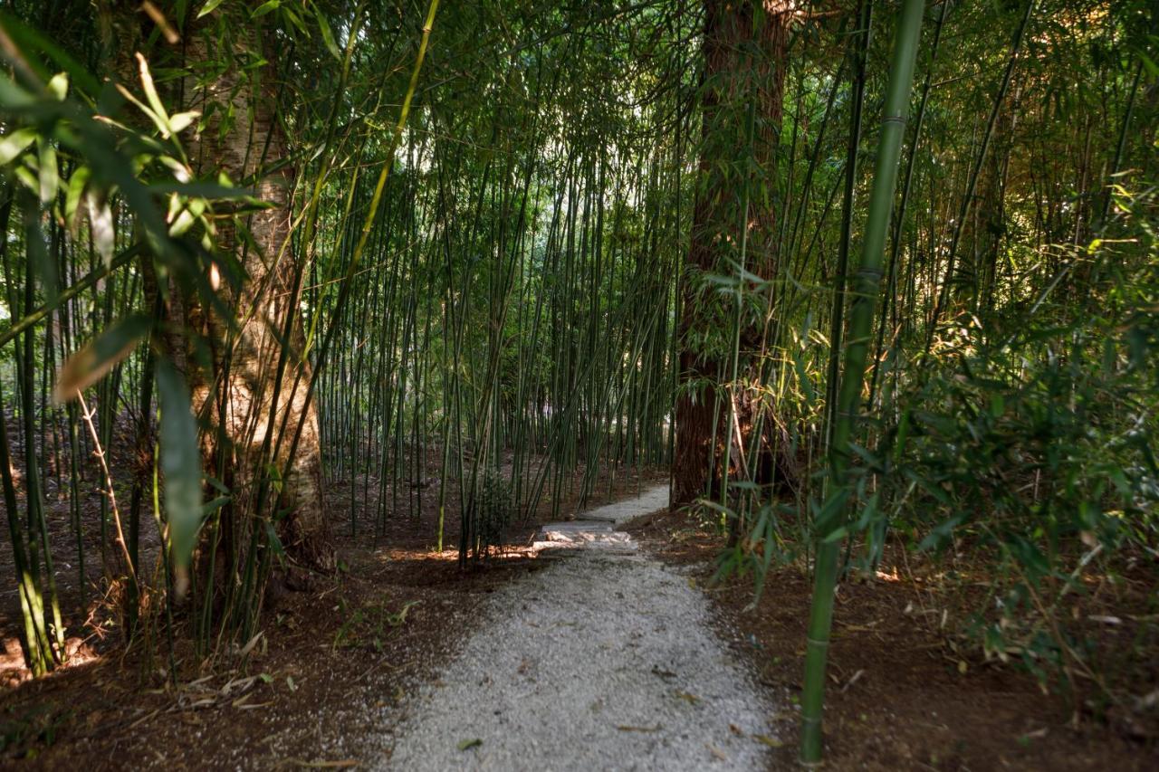 Finca La Peniga Mazcuerras Kültér fotó